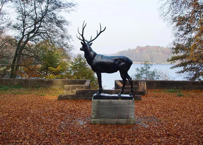 Schoene Im Erholungsort * 施滕贝格